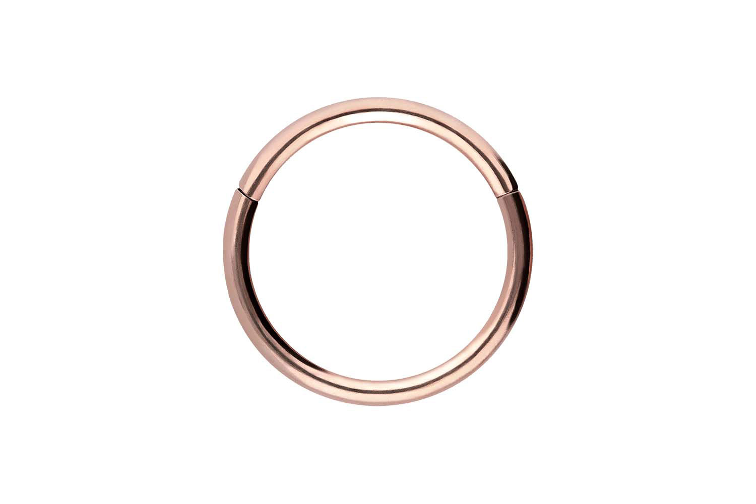 Chirurgenstahl Segmentring Clicker Piercing